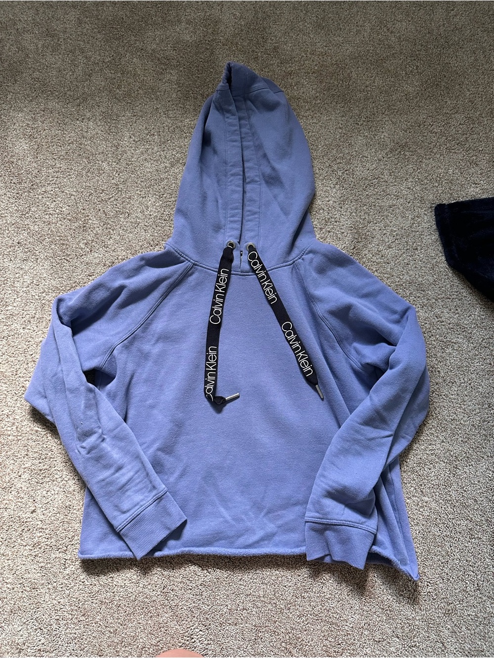 Calvin Klein Periwinkle Hooded Pullover small